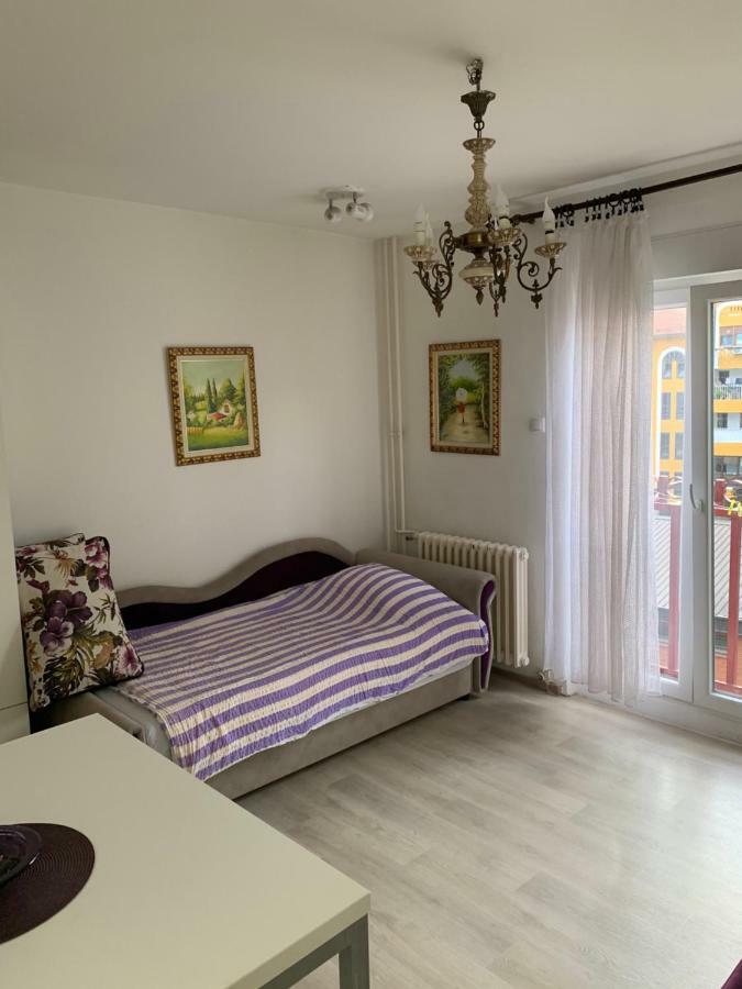 Violet Star Apartment Novi Sad Exterior foto